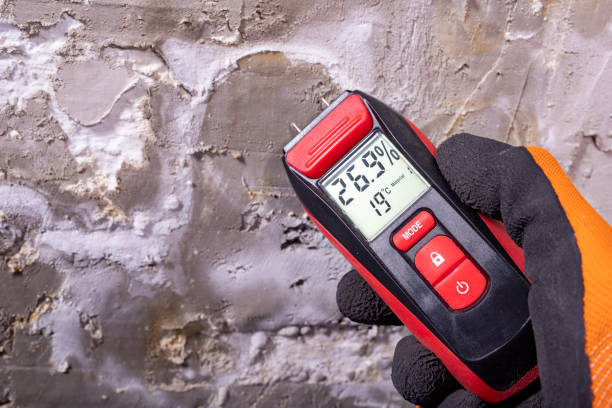 Best Water Damage Restoration  in El Cenizo, TX