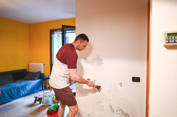 Best Local Mold Removal Service  in El Cenizo, TX